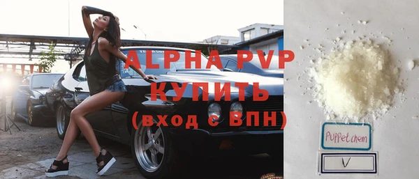 ПСИЛОЦИБИНОВЫЕ ГРИБЫ Инта