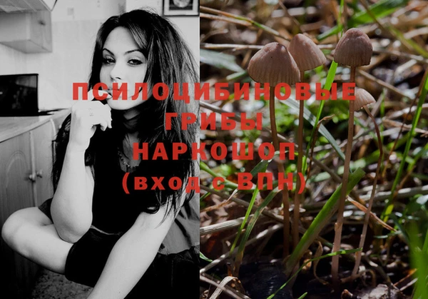 ПСИЛОЦИБИНОВЫЕ ГРИБЫ Инта