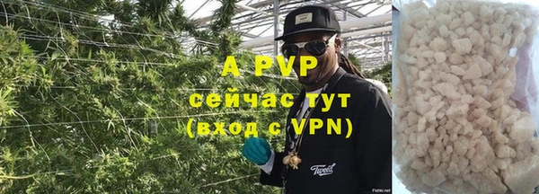 ПСИЛОЦИБИНОВЫЕ ГРИБЫ Инта