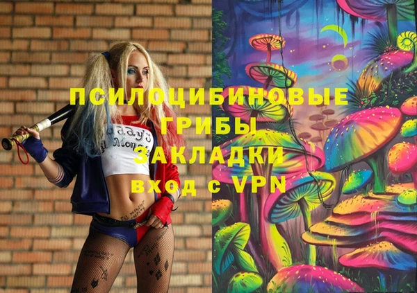 ПСИЛОЦИБИНОВЫЕ ГРИБЫ Инта