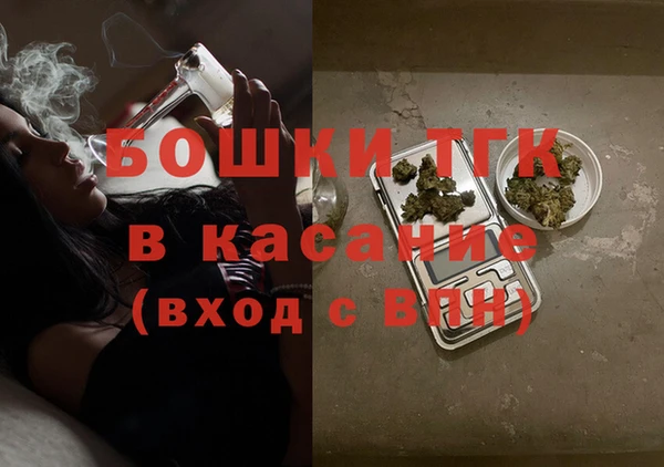 трава Инсар