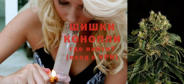 ПСИЛОЦИБИНОВЫЕ ГРИБЫ Инта