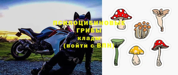 ПСИЛОЦИБИНОВЫЕ ГРИБЫ Инта