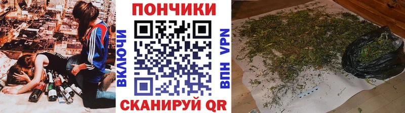 где купить наркотик  Наволоки  Конопля Amnesia 